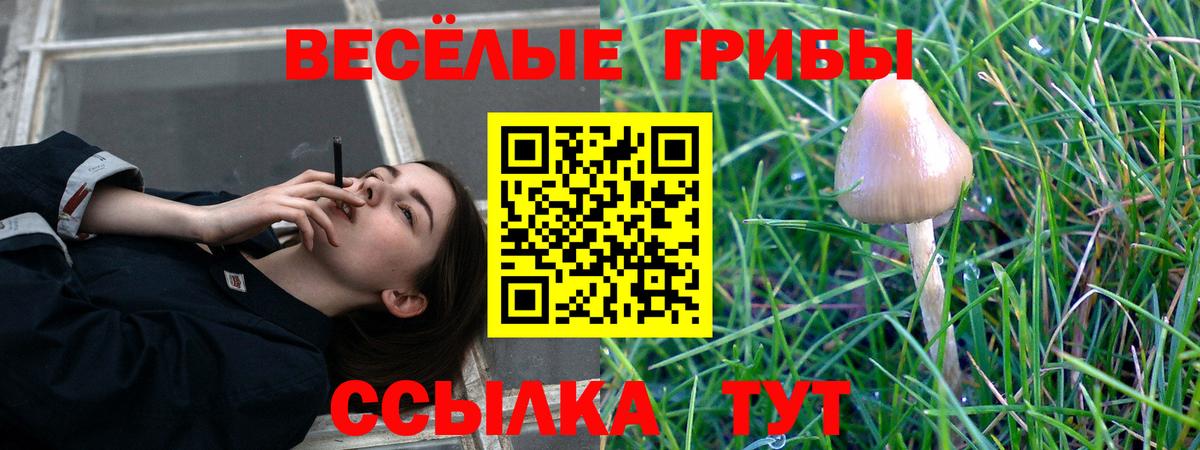 Петровск  Галлюциногенные грибы GOLDEN TEACHER  Вход с VPN 